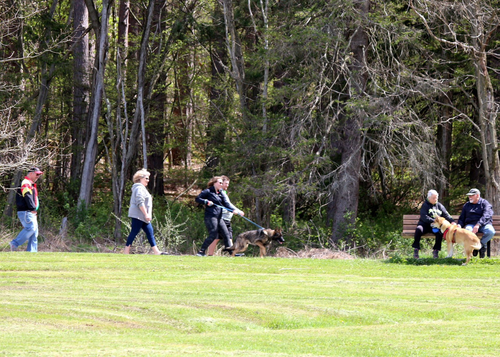 Social distancing for dogs